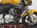 PROTETOR MOTOR CARENAGEM HONDA CB 300R 2009-2015 (PFM)
