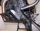 PROTETOR DE CÁRTER BMW F700GS/ F 800GS/ ADVENTURE 2010-2018 (PFM)
