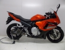 BAGAGEIRO CHAPA SUZUKI GSX 650F 2008-2016 (PFM)