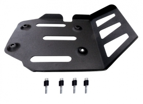 PROTETOR DE CÁRTER BMW F700GS/ F 800GS/ ADVENTURE 2010-2018 (PFM)